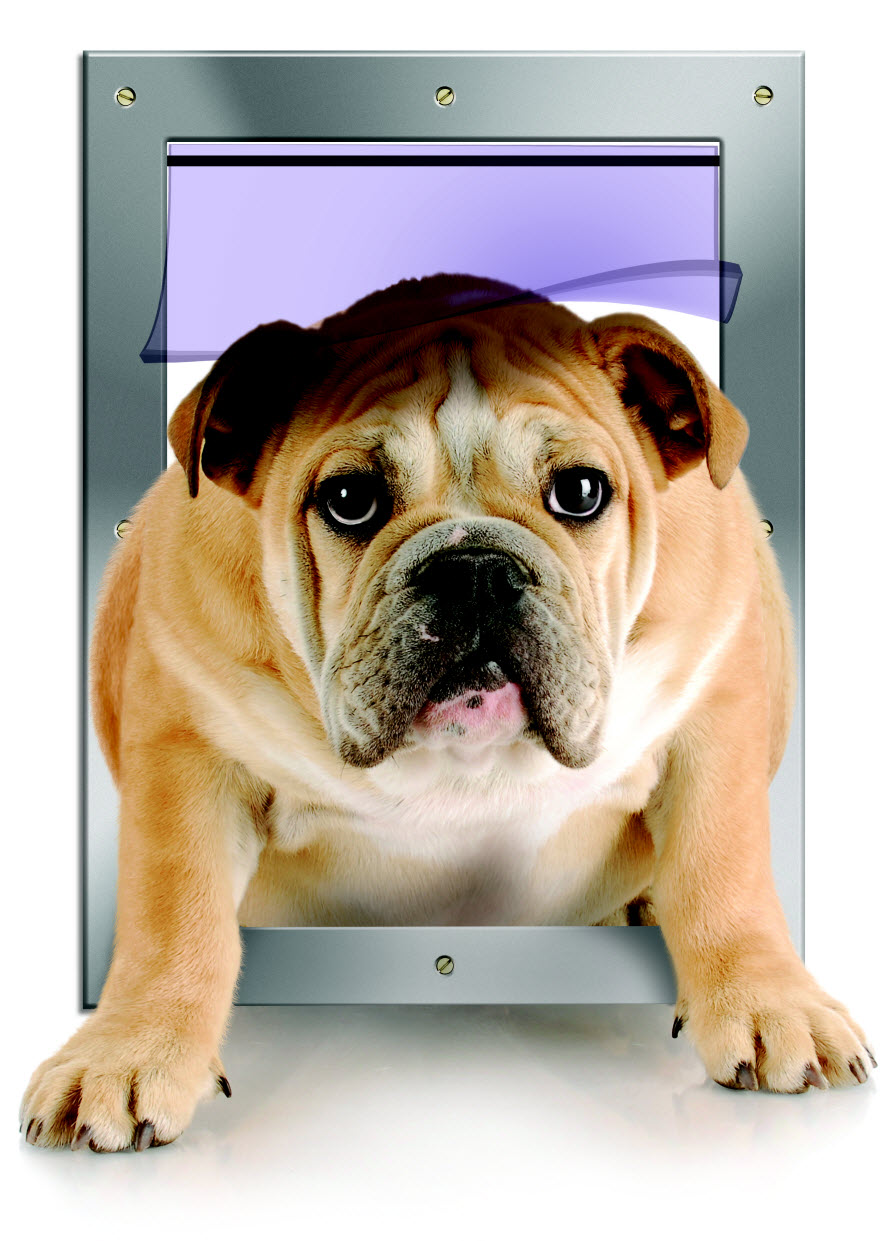 Doggie-Door-Front