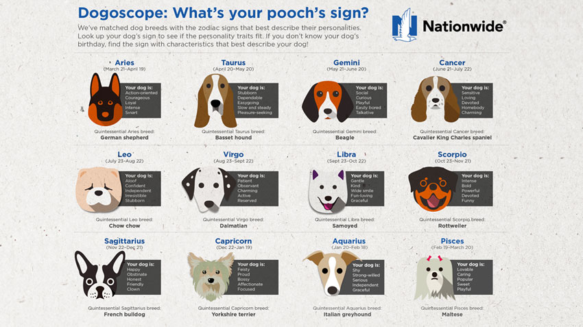 do dogs have a zodiac sign