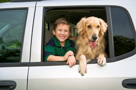 BoyDogInCar11