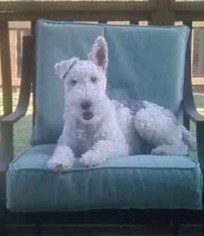 rudy_porch