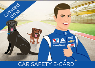 Pet Crew Sweepstakes