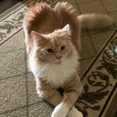 2023-WPN-sir-catrick-stewart