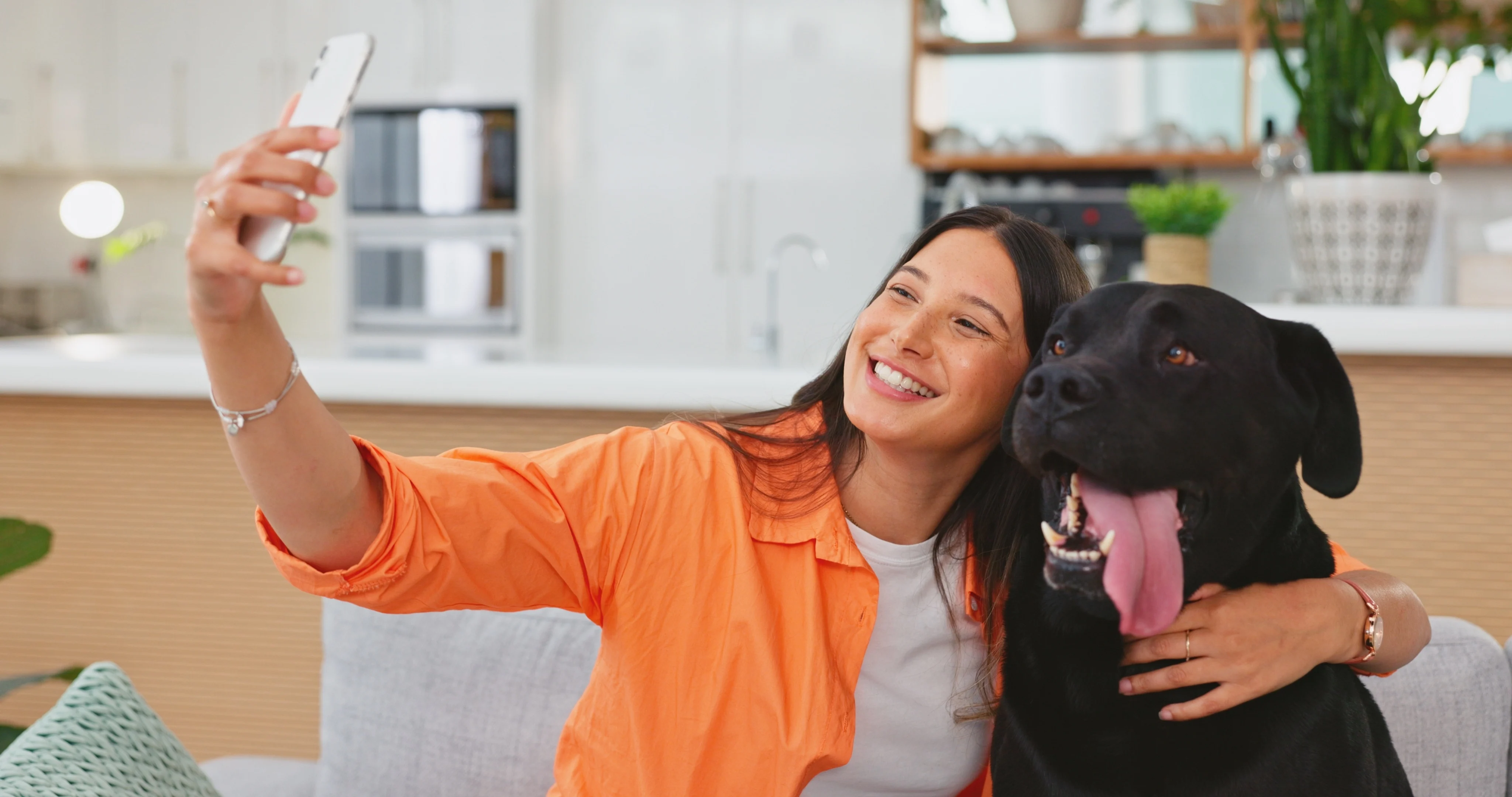 PetPassport