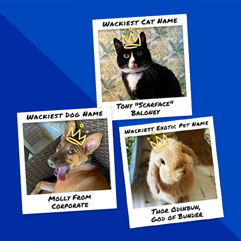 Nationwide announces 2024 Wacky Pet Name Winners
