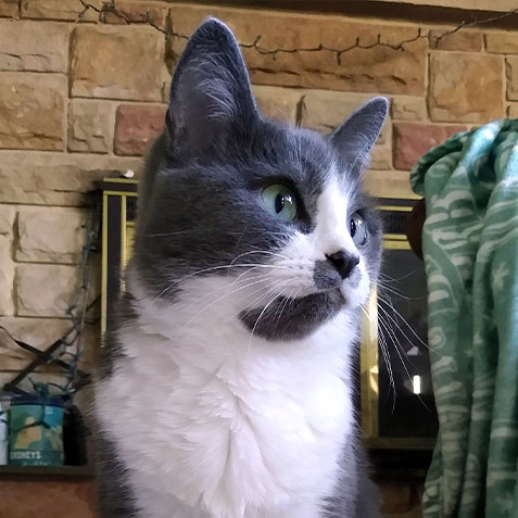 2023-WPN-business-cat