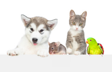 My employees Image
