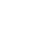 phz-icon