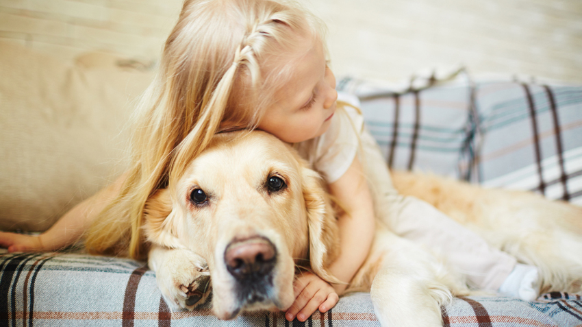 Family Pet Safety 101