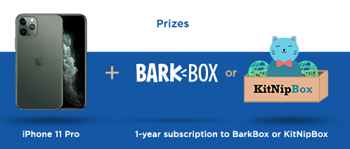 Prizes Responsive
