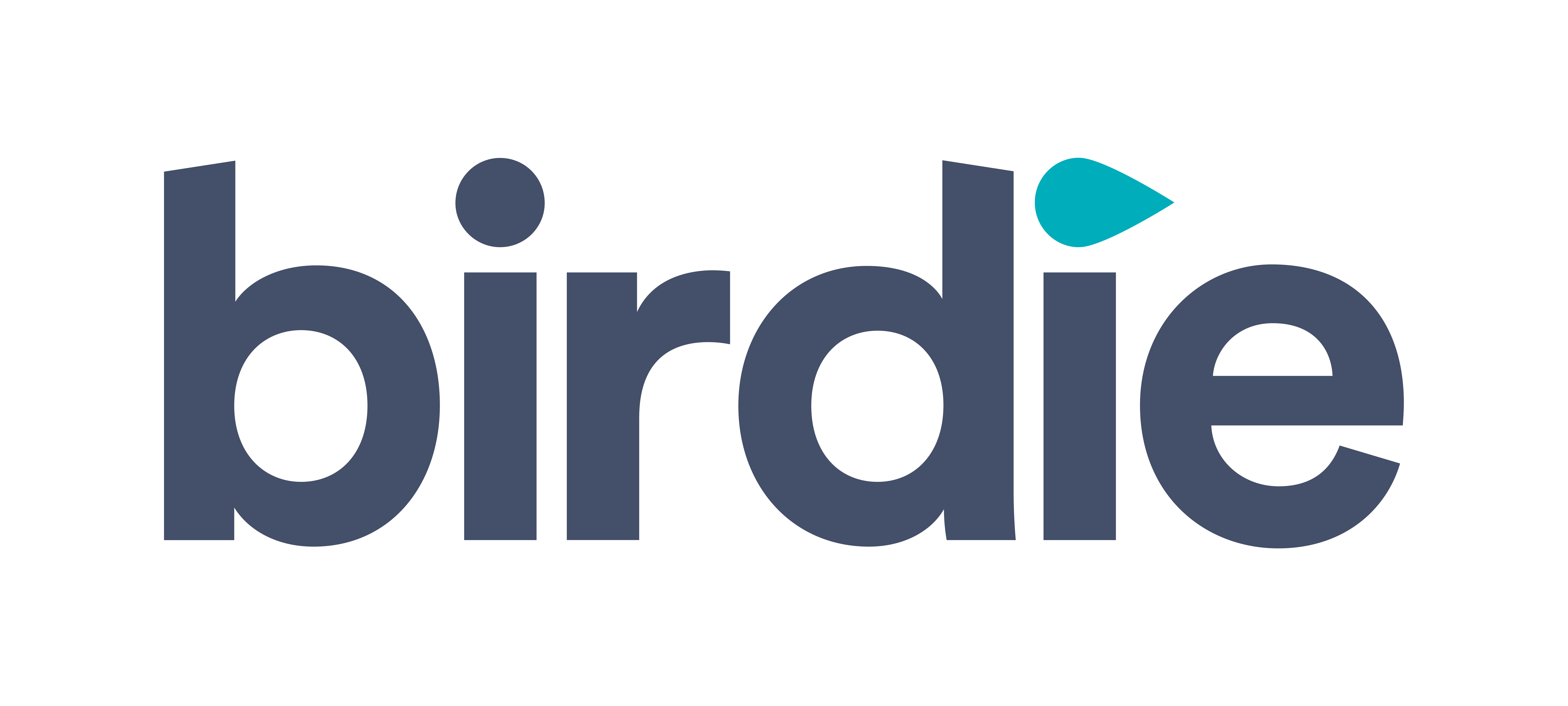 Birdie logo