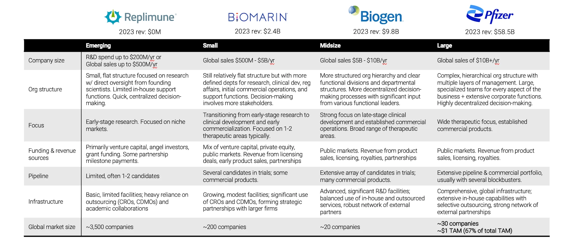 A comparison chart of pharmaceutical companies across four categories: Emerging (Replimune), Small (BIOMARIN), Midsize (Biogen), and Large (Pfizer). The chart compares these companies on various aspects including company size, organizational structure, focus, funding & revenue sources, pipeline, infrastructure, and global market size. Each category shows increasing complexity, revenue, and scale from Emerging to Large companies, with specific details provided for each aspect across the different company sizes.
