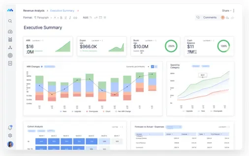 A screenshot of the 'Executive Summary' view of Mosaic's cloud-based software.