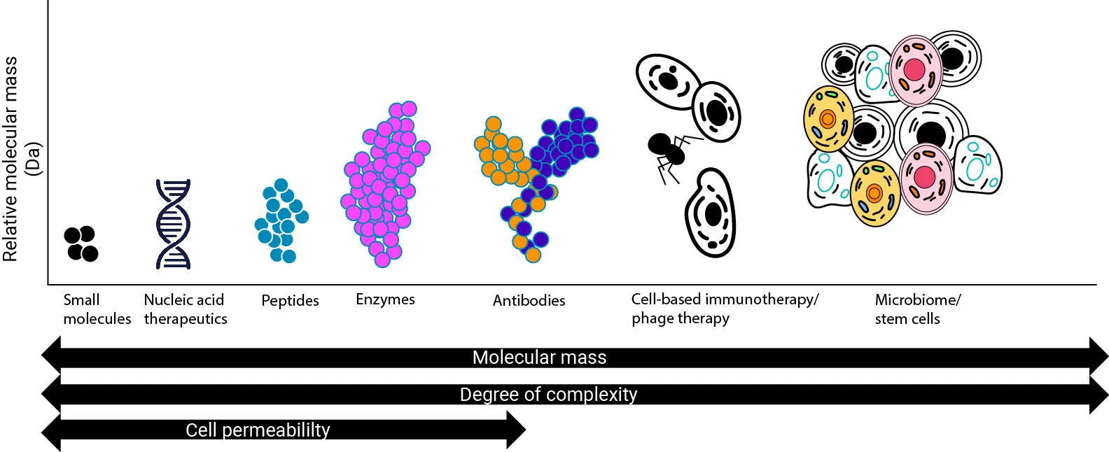 A chart showing different types of therapeutics arranged by increasing molecular mass, complexity, and decreasing cell permeability. From left to right: small molecules, nucleic acid therapeutics, peptides, enzymes, antibodies, cell-based immunotherapy/phage therapy, and microbiome/stem cells. Each category is represented by simple icons or shapes, with relative size increasing along the x-axis. The y-axis represents relative molecular mass. Three arrows below indicate increasing molecular mass and degree of complexity from left to right, and decreasing cell permeability from left to center.