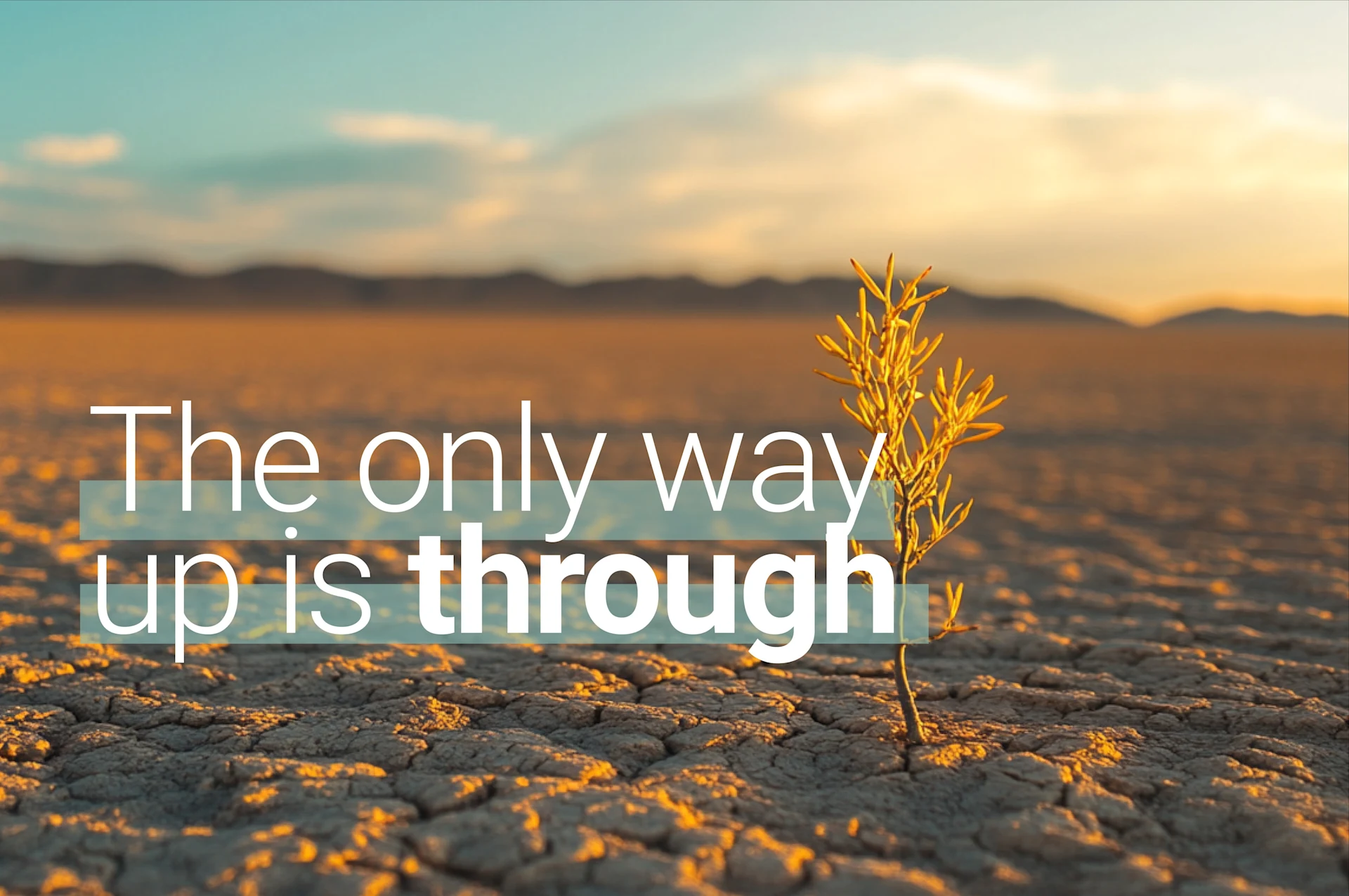Single plant growing in cracked, dry desert soil at sunset with the text ‘The only way up is through’ overlaid.