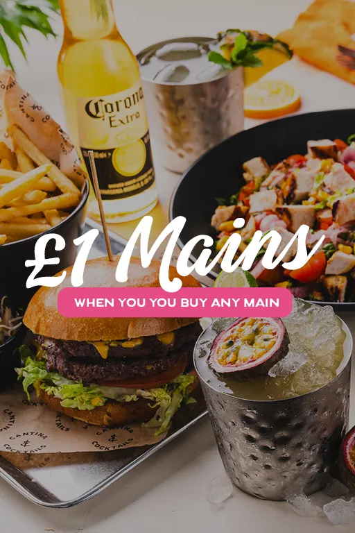 0526 LI £1Mains Mob 512x768