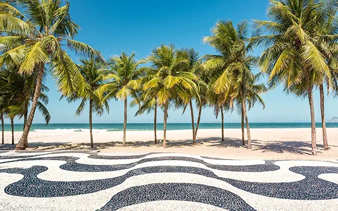Palm trees Sm
