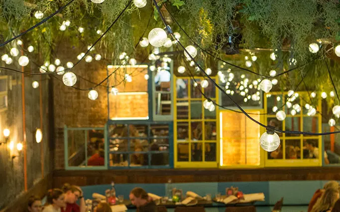 Festoon lights and hanging plants on the ceiling of Las Iguanas Royal Festival Hall
