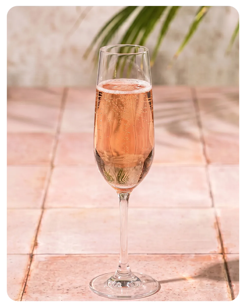 Pink Fizz