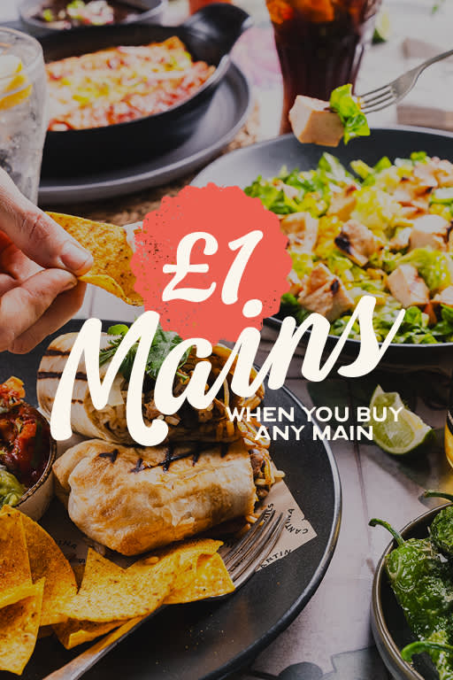 202608 LI-£1Mains Mob 512x768