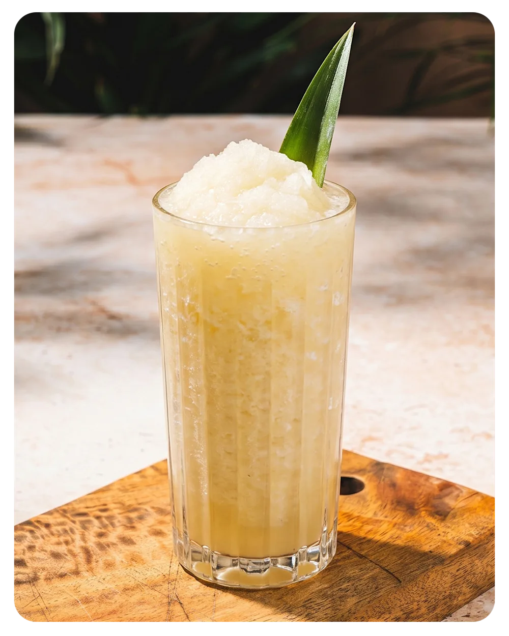Coconut Cooler