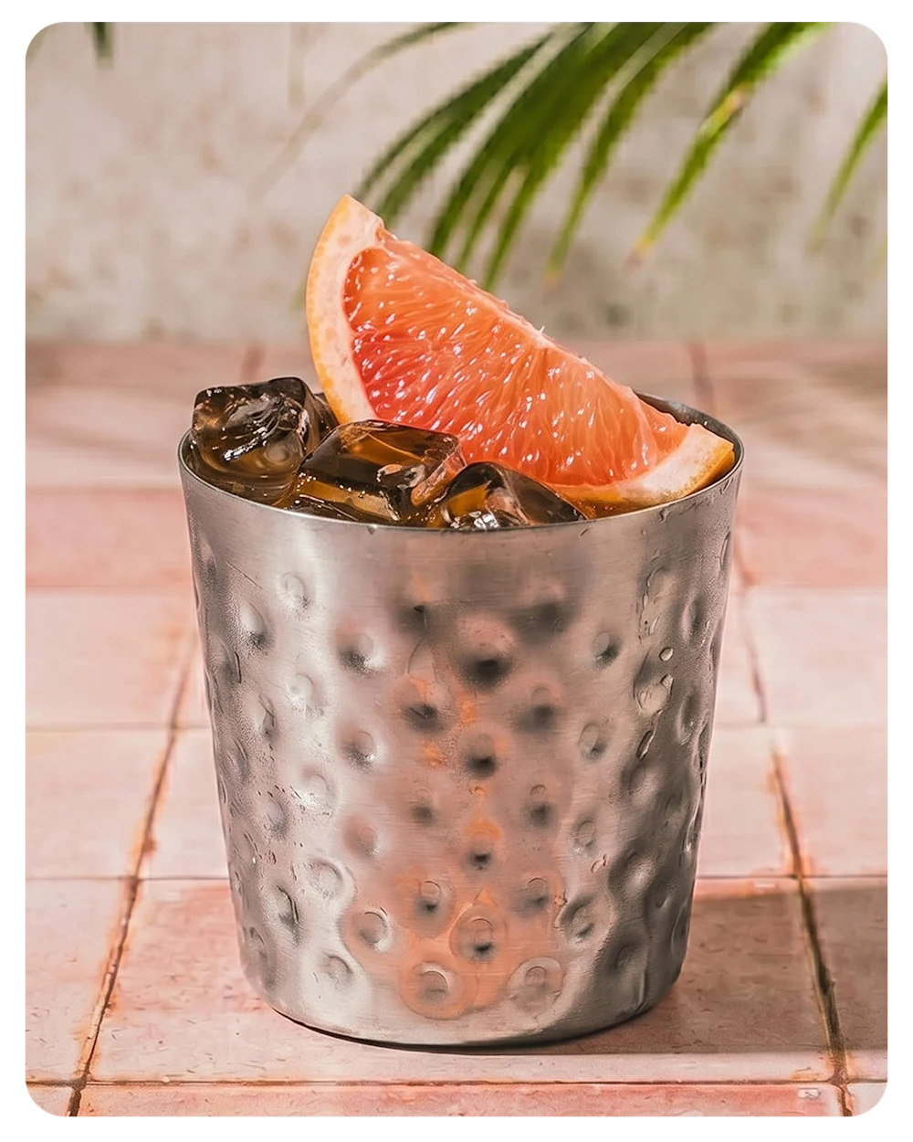 Paloma