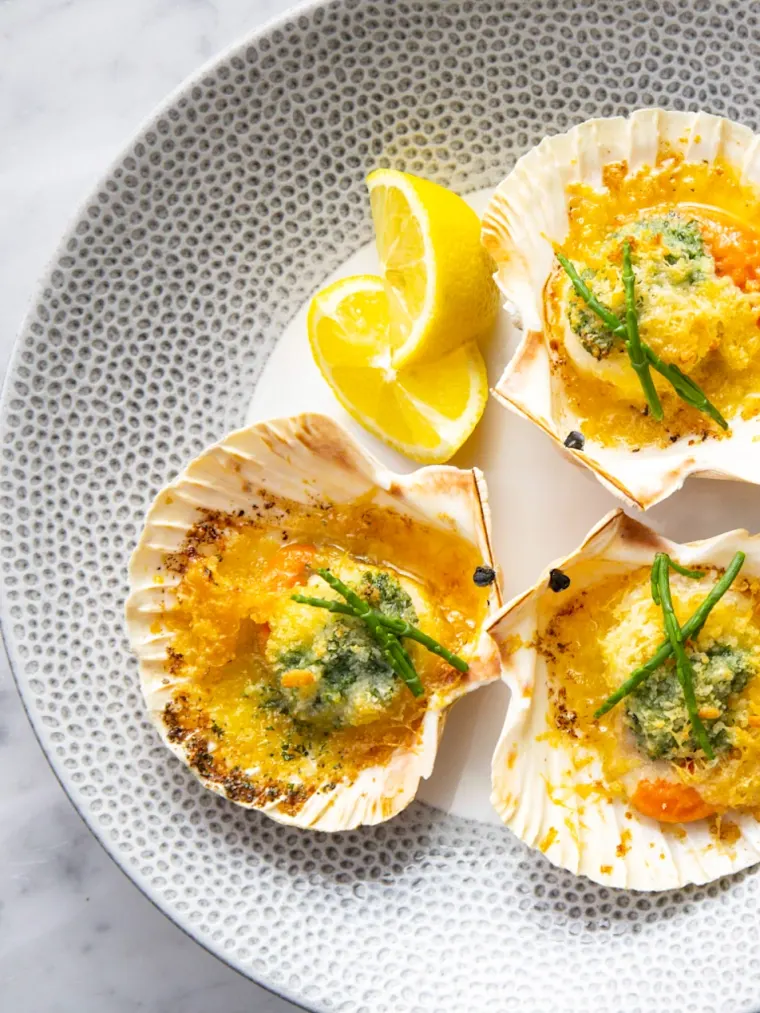 Lemon and Clam Shells - mobile