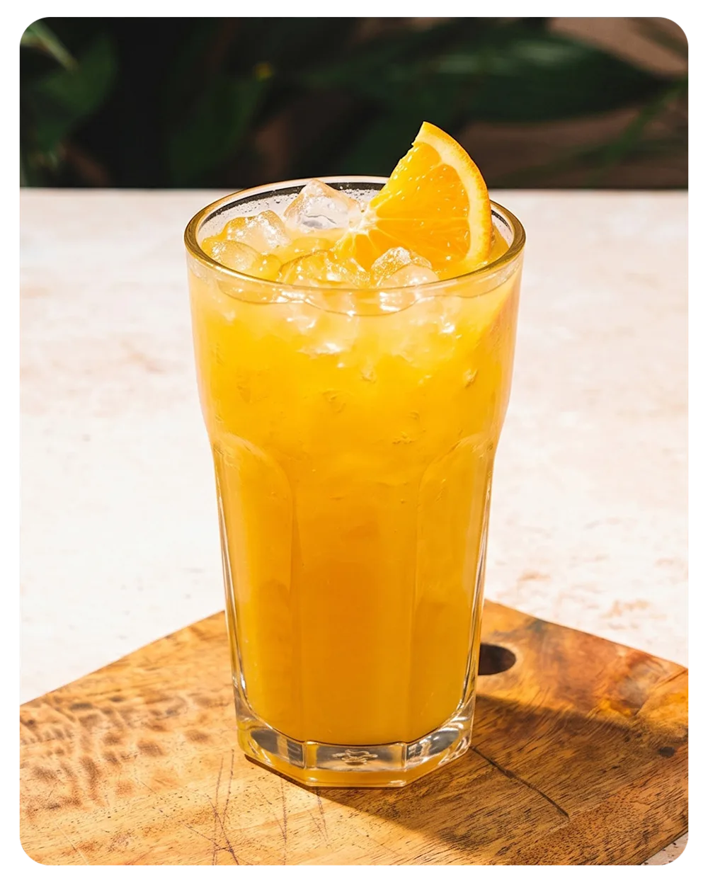Tropical Cooler