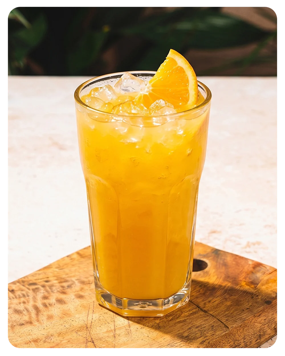 Tropical Cooler