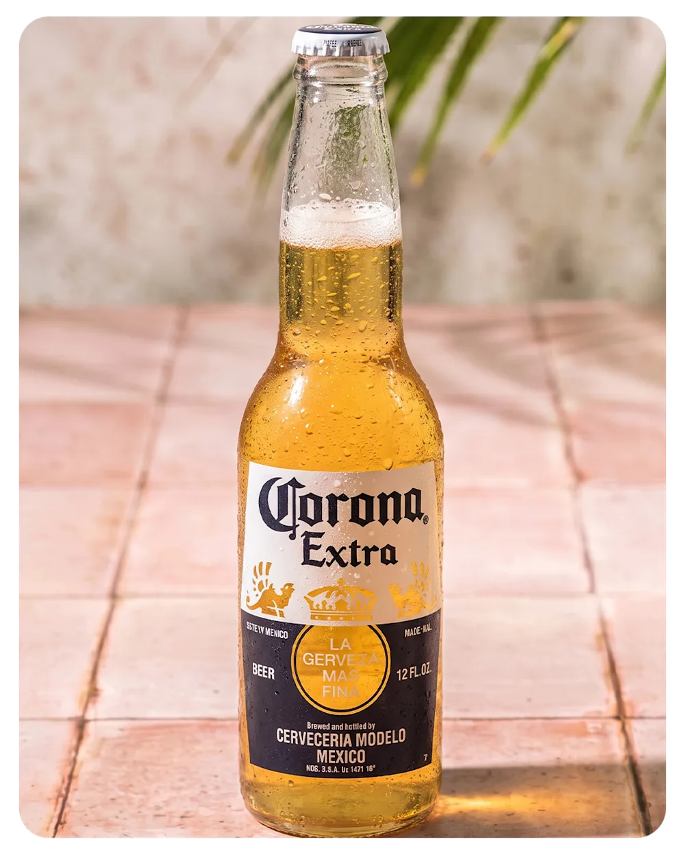 Corona
