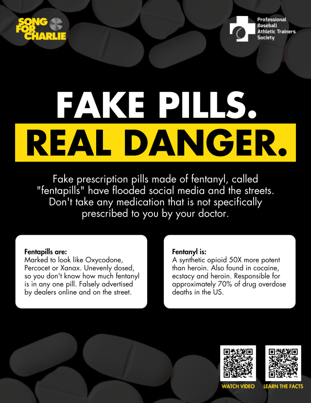 poster - fake pills black