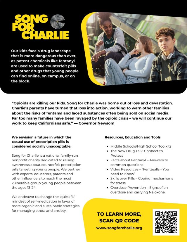 song for charlie flyer