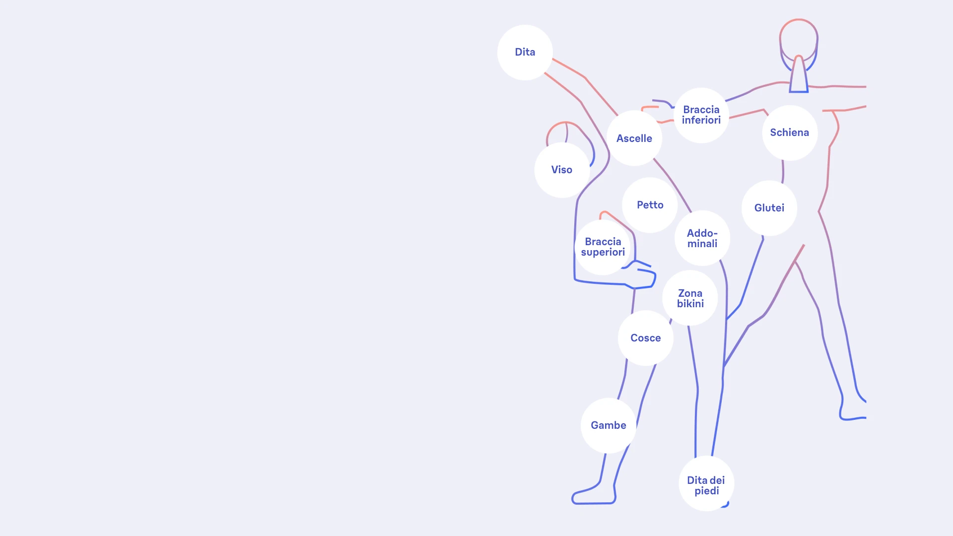 Grafico che illustra tutte le parti del corpo sulle quali è possibile utilizzare la luce pulsata