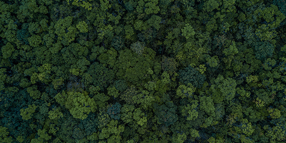 Optimera-mobile-hållbarhet