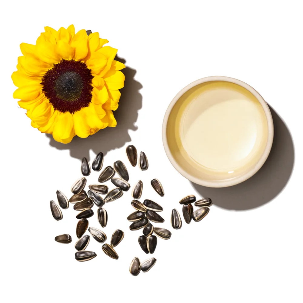 seed-oil-blog-1000x1000