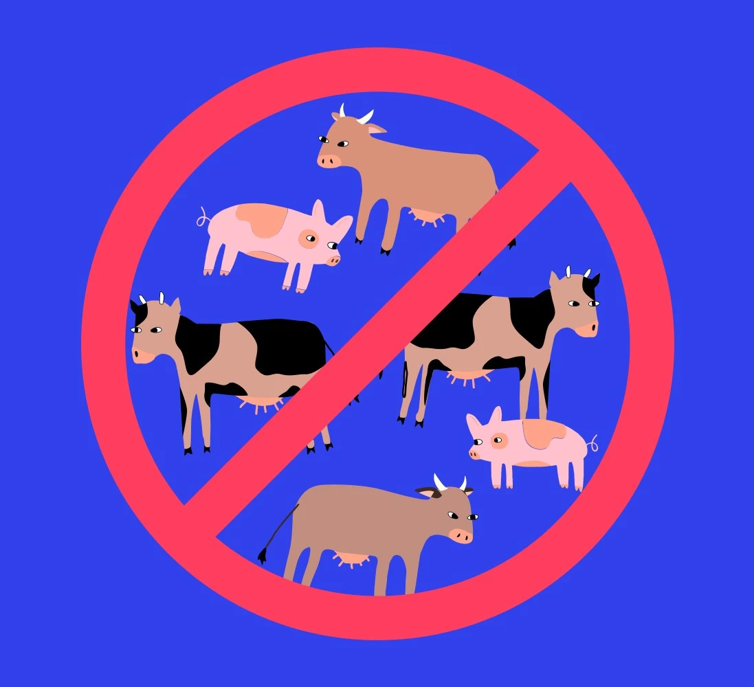 Cows and pigs with general prohibition sign, no symbol, circle-backslash symbol