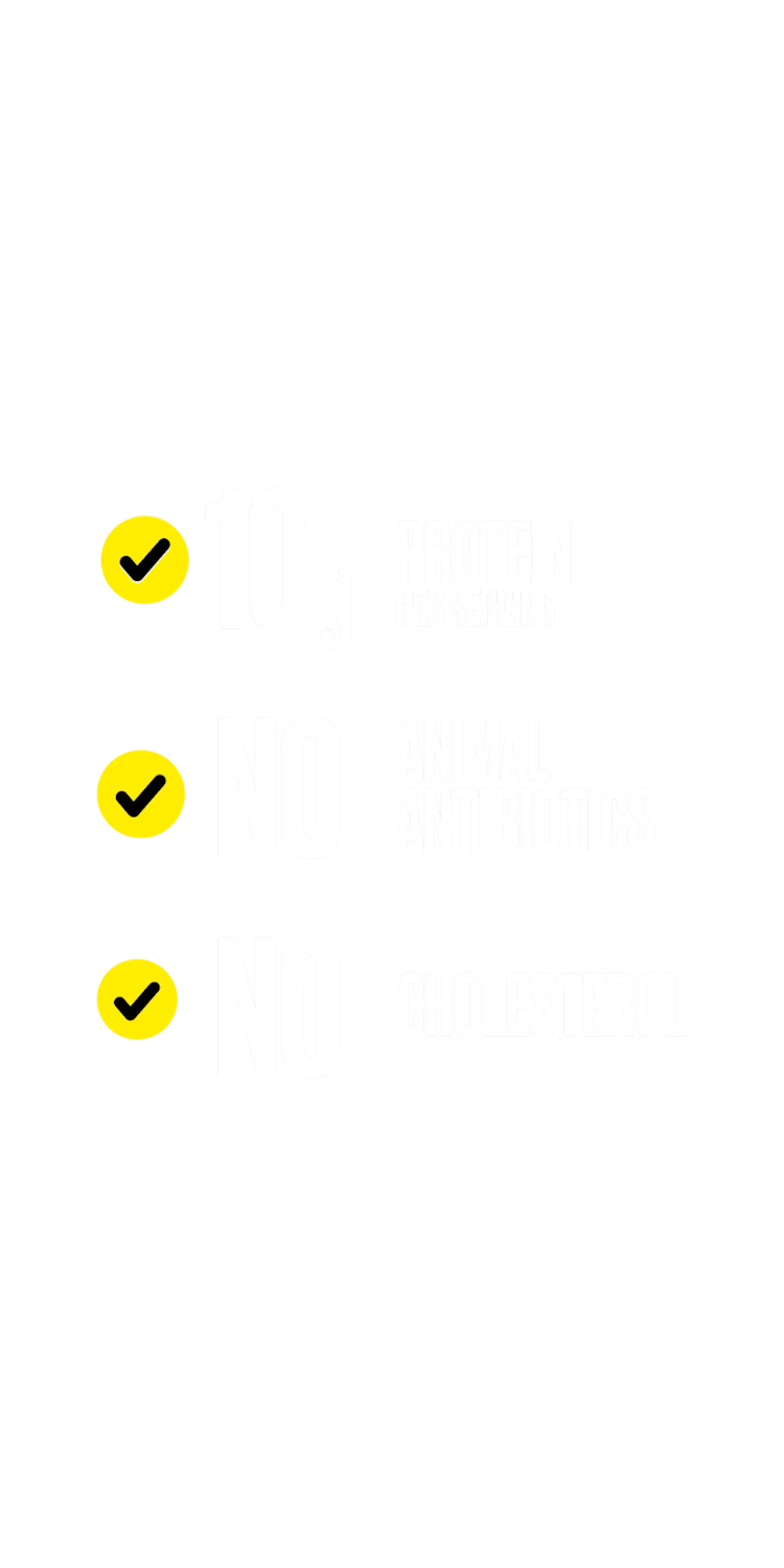 Impossible™ Chicken Patties Made From Plants