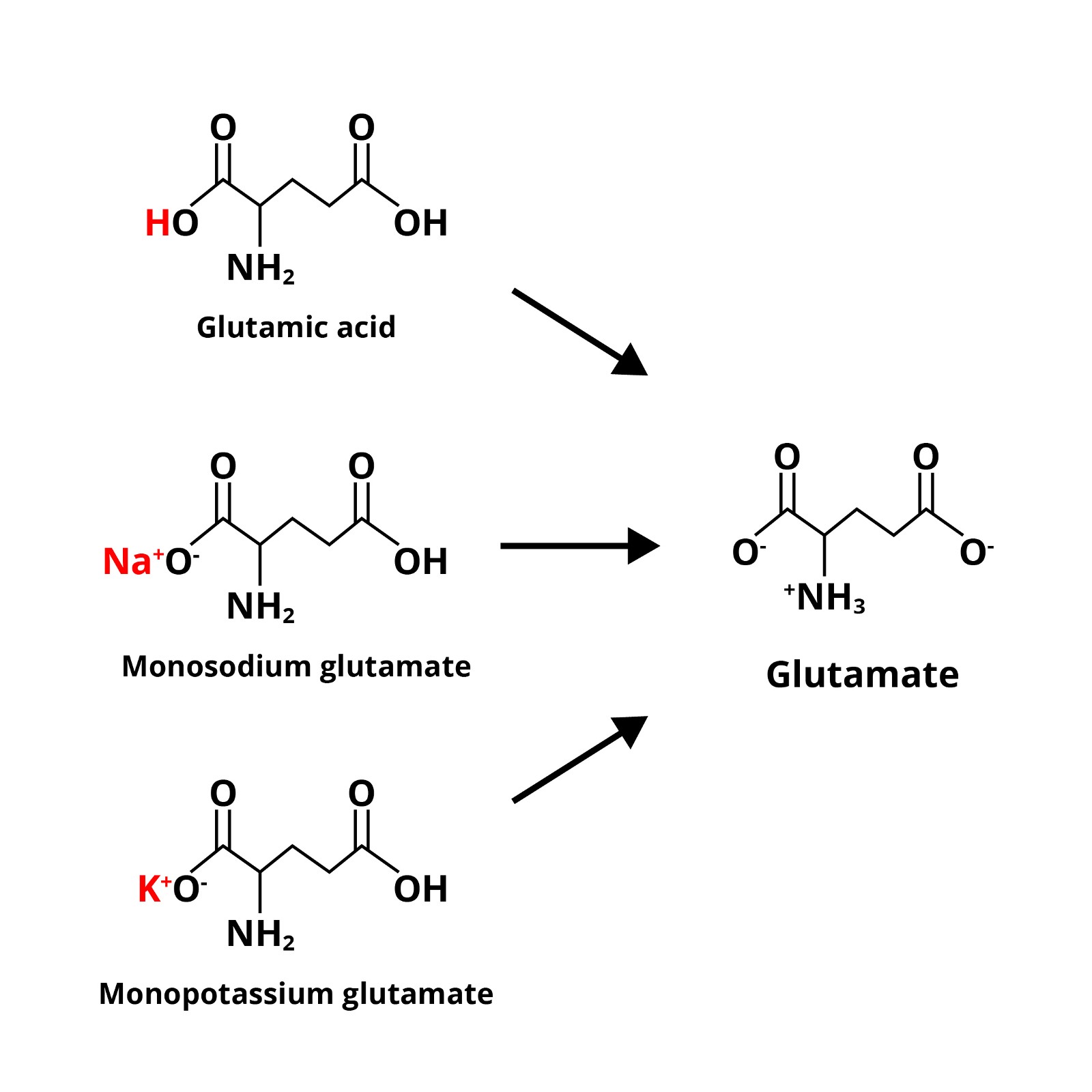 Learn Why Glutamates Are Natural And Safe
