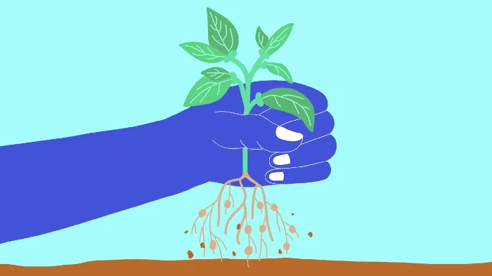 Blue hand grabbing green plant with roots out of the ground in a light blue background.