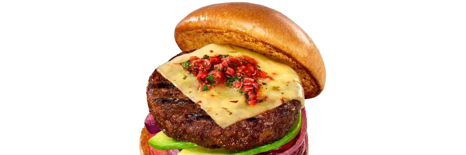 southwest-burger-patties-cutout-image-1500x500