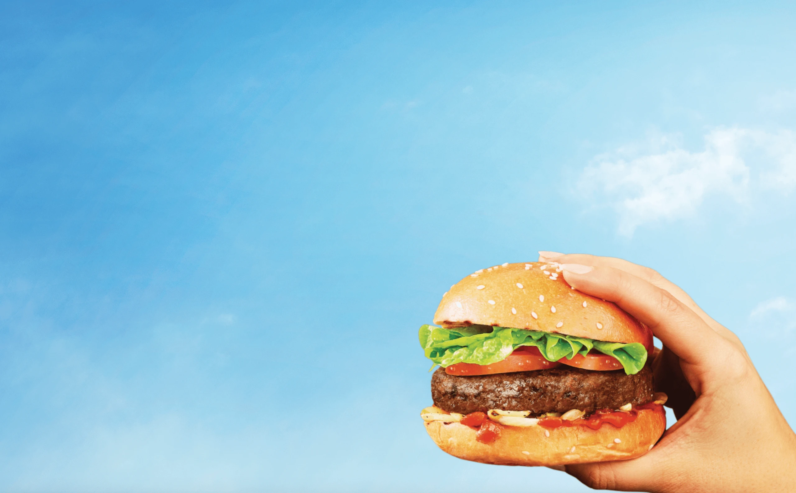 hand holding a burger with a sky background