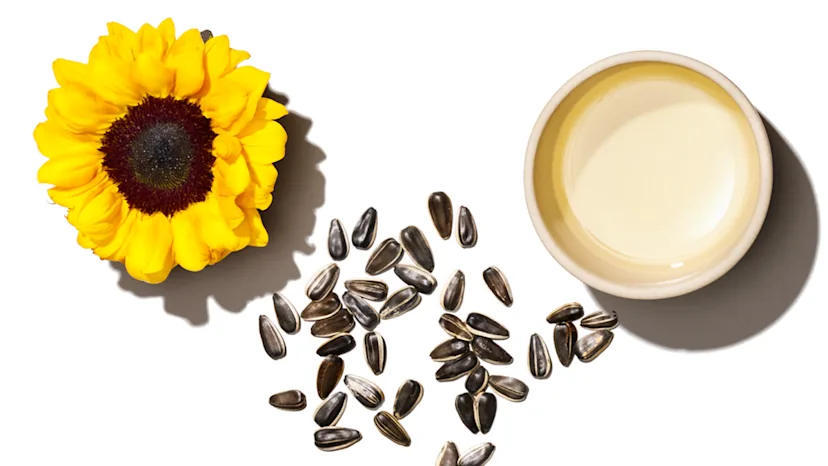seed-oil-blog-1200x675