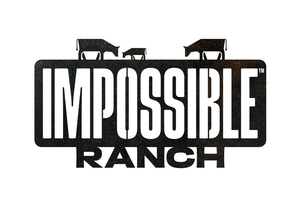 Impossible Ranch Logo with texture