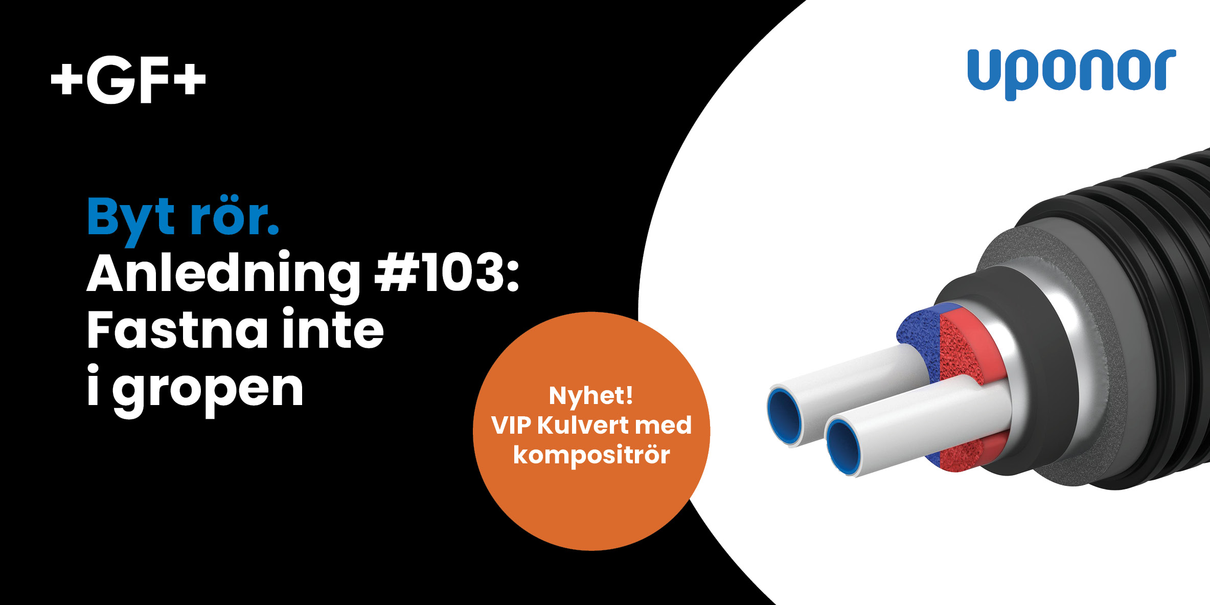 Dahl banner 568x284px