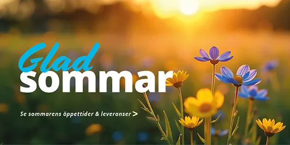 Glad sommar