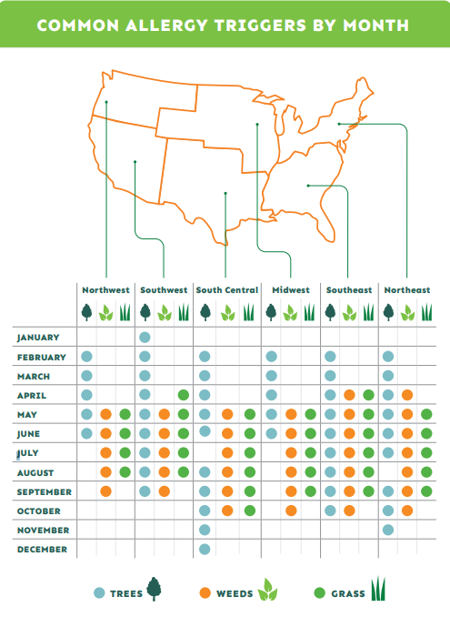 Zyrtec Regional Allergy Map