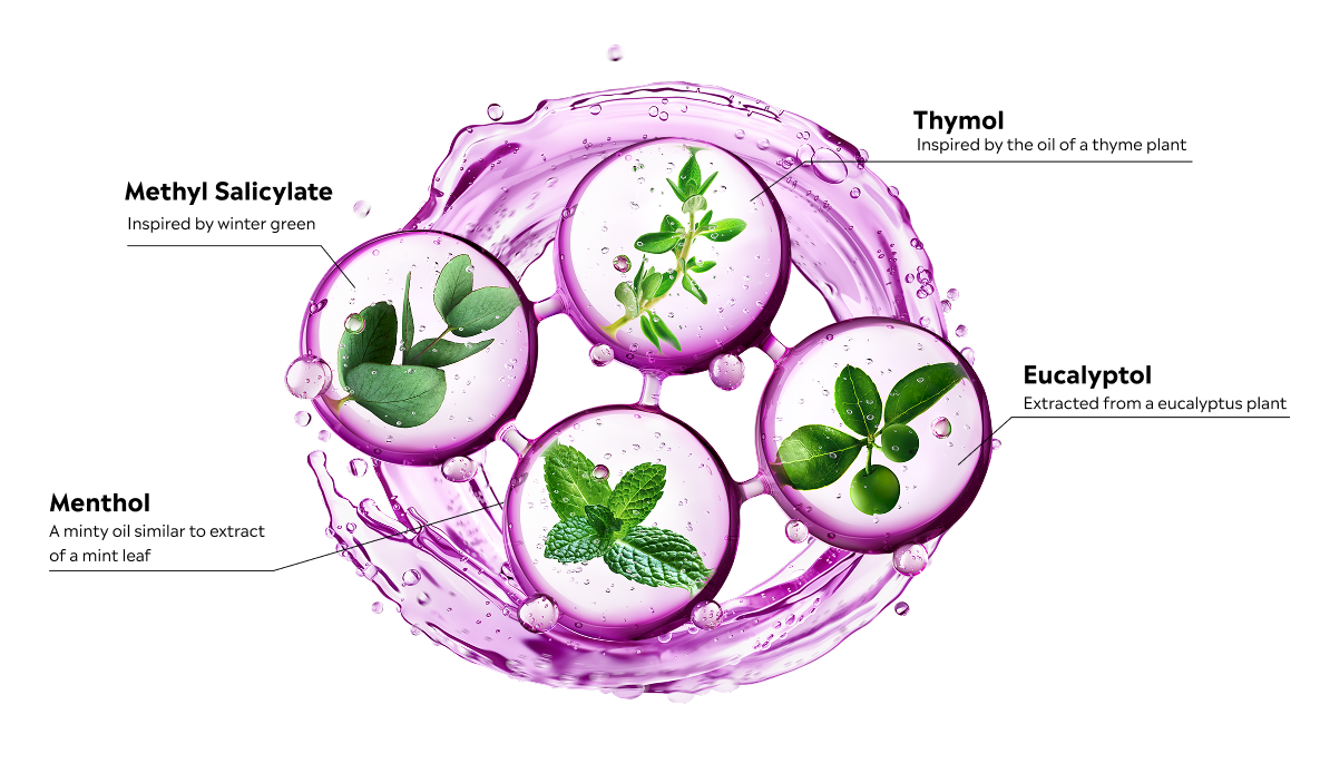 LISTERINE® Ingredients: 4 Essential Oils