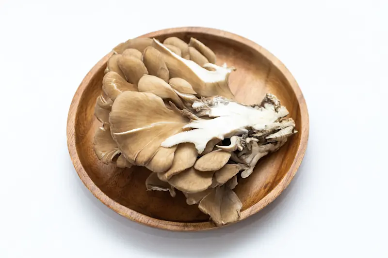 産後 湿疹 産後 湿疹