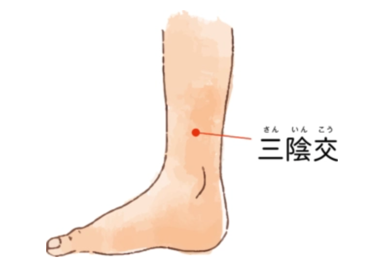 三陰交 三陰交