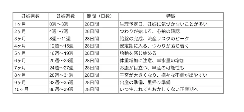 妊娠周期 妊娠周期