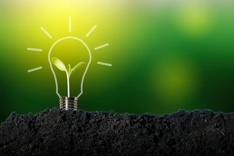 ひらめき ひらめき